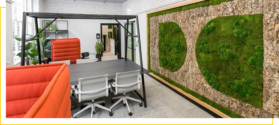 Workplace Sustainability