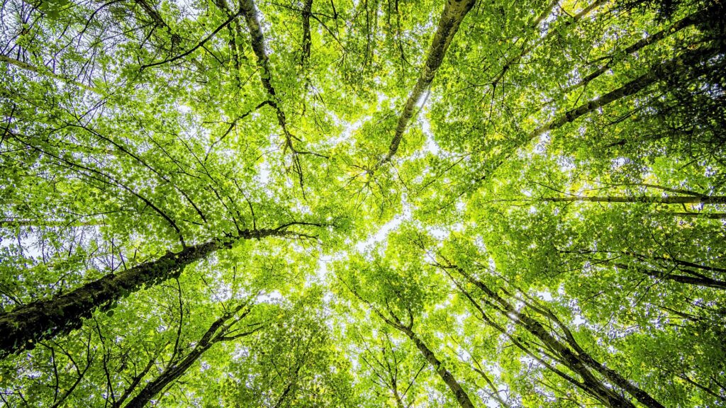 Untitled design 34 Why Sustainable Energy Matters in Commercial Office Spaces